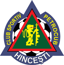 Der wert ergibt sich aus den toren und torvorlagen eines spielers. Fc Petrocub HinceÈ™ti Wikipedia