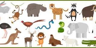 You can do the exercises online or download the worksheet as pdf. 3rd Grade Science Worksheets About Animals Parenting
