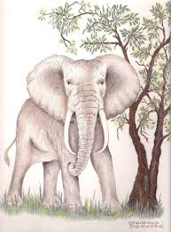 African Elephant Drawing By Sharon Blanchard 142 free vector graphics of africa safari. african elephant by sharon blanchard