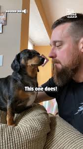 Dogs may be "man's best friend," but...