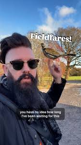 Honestly you have no idea. I never realised how much I love Fieldfares  until recently. When they arrive, winter birding truly begins. The largest  thrush we see in the UK. Just look how stunning they ...