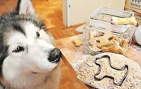 Jeder mensch weiß, dass obst und gemüse sehr gesund sind. Leckerlis Fur Hunde Selber Backen Salzburgerland Magazin