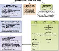 Functional or morphological disruption of. Diabetic Kidney Disease American Society Of Nephrology