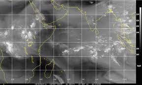 「site:.edu "newreply.php?" touch」的圖片搜尋結果