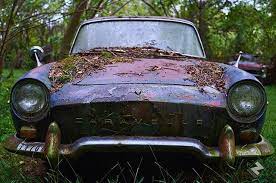 Pin On My Photography