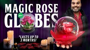 The globe is 100mm diameter glass with a rubber bottom. Jftv New Product Rose Globes Hearts With The Fern Show Youtube