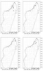 Image result for Ixora kalehensis