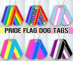 Gay Lesbian LGBTQ Trans Asexual Bi Pan Dog Tag Military Pride Necklace  Metal | eBay
