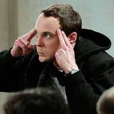 Selena Renner 竞选启动大会社区热烈响应_全球_新闻_华人头条