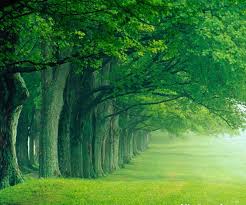 Nature Wallpapers For Android Group 45 Ultra hd 4k nature wallpapers for desktop, pc, laptop, iphone, android phone, smartphone, imac, macbook, tablet, mobile device.