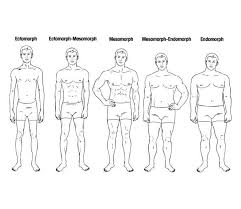 Male Body Shapes Jpg The Five Human Body Types Main Jpg Itok Mens Body Types Body Types Male Figure