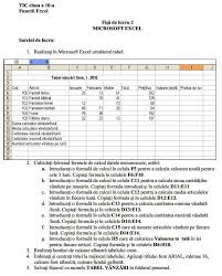 Spatiul de lucru microsoft word. Resurse Excel Tic