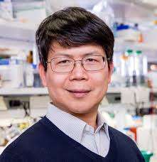 QnAs with Zhijian “James” Chen: Winner of the 2024 Albert Lasker Basic  Medical Research Award