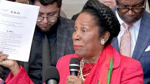 Leading Against White Supremacy Act: U.S. Rep. Sheila Jackson Lee continues  to respond to critics over introduced hate crime bill