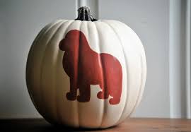 Use this awesome pumpkin carving diy to make the best faux pumpkin using a rotary tool, my free pattern, a bit of paint and a zipper. Easy Dog Pumpkin Carving Patterns My Brown Newfies