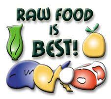 Www Rawfed Com Feeding Your Pets The Healthy Way Raw Food Recipes Raw Dog Food Recipes Natural Dog Care