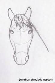 How to draw a basic horse? Designing Horse Pencil Drawings Finishing The Horse Head Horse Pencil Drawing Horse Drawing Tutorial Horse Head Drawing