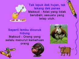 Saat dilepas pun, darah tetap mengalir karena zat antikoagulan yang dikeluarkan oleh lintah. Peribahasa Tahun 5