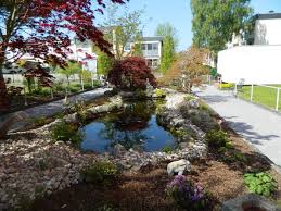 Botanischer garten berlin öffnet gewächshäuser am 14. Blindenhilfe In Rheinland Pfalz E V Garten