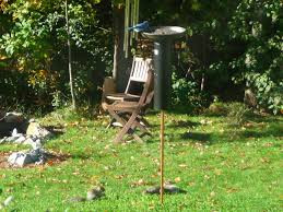 2 x 8' pressure treated fence post (~$4) from hardware store or farm store. Squirrel Proof Bird Feeder 5 Steps Instructables