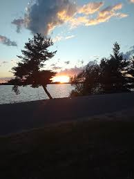 Albert Eugene Kunst Obituary (2024)