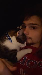 Lost Cat in Germantown Area, Mary Street