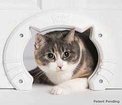 Built In Cat Door For Medium Large Cats Fits Interior Hollow Core Or Solid Wood Doors Template Self Drilling Screws Instructions Cat Door Pet Door Pet Doors