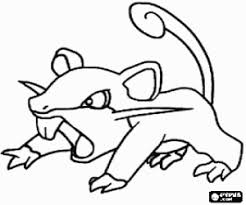 Ausmalbilder Eine Pokemon Ratte Rattfratz Zum Ausdrucken