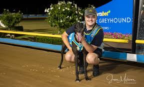 Harry's Pancakes Greyhound