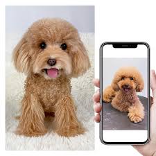 Life Size and Realistic Dog Toy