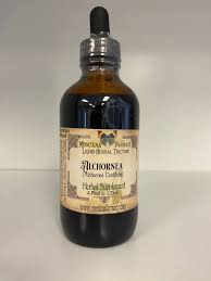 Image result for Alchornea cordifolia