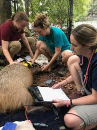 Jimmy johnson grew up at the columbus zoo and aquarium and all the career paths h. How To Become A Vet Tech Elmwood Park Zoo