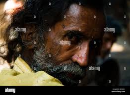 Abattoir chicken hi-res stock photography and images