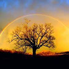 20.332 imágenes gratis de paisajes naturales. Paisajes Hermosos Mipaisajex Twitter