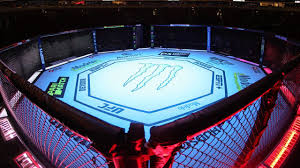 Pin On Ufc 251 Live