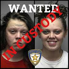 Chisago County Sheriff's Office