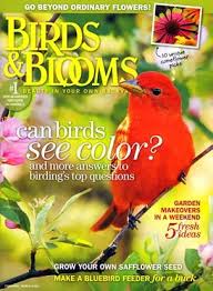 Birds Blooms Magazine Birds Blooms Magazine Only 2 57 Issue How To Attract Birds Birds Backyard Birds