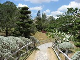 Jardin Botanico Garden Bridge Outdoor Structures Botanical Gardens