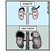 Tales From The Organ Trade That is why it is so important to have regular blood tests to check how well your. tales from the organ trade