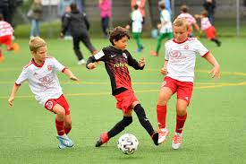 Verein fc aarau 1902 junioren fussballcamp postfach, 5001 aarau. Sc Zofingen Die E Junioren Des Scz Trafen Am Vergangenen Facebook