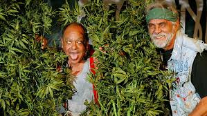 We did not find results for: Hd Wallpaper 420 Cheech Chong Comedy Humor Marijuana Weed Wallpaper Flare