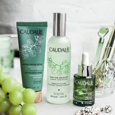 2 995 Likes 28 Comments Caudalie Caudalie On Instagram Night In After New Year S Includes A Major Skin Detox Wit Skin Detox Instant Detox Beauty Elixir