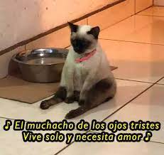 El muchacho de los ojos tristes. Facebook