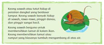 Check spelling or type a new query. Kunci Jawaban Esps Matematika Kelas 6 Halaman 72 Kumpulan Soal