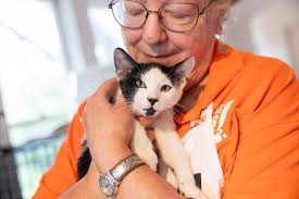 Cathy M. Rosenthal, Contributor