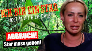 Dschungelcamp 2024: So gigantisch sind die Gagen der Teilnehmer!