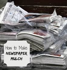 How to make a newspaper: Newspaper Mulch Control Weeds And Help Your Soil