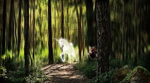 It was first sighted in puerto rico in 1995. Unicorn Forest Daytime Elf Fantasy Picture Photo Montage Mysticism Mythical Creatures Between World Control Pxfuel