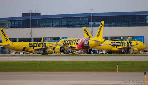 Spirit airlines 2019 promo codes & cheap flight details. Julia Krugliak Flight Attendant Spirit Airlines Linkedin