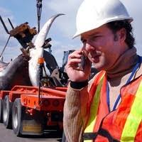 Jonathan Berthiaume Email & Phone Number